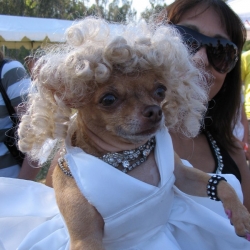 2006-Bow-wow-ween-6