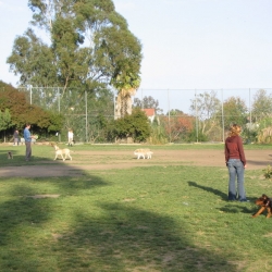 Dog-Park-18