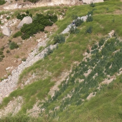 Wayne Fishback Browns Canyon May 20 2017 26