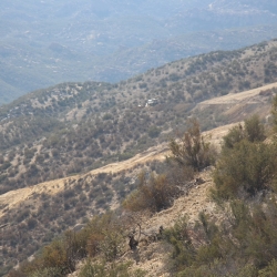 Wayne Fishback Browns Canyon Sept 24 2015 20